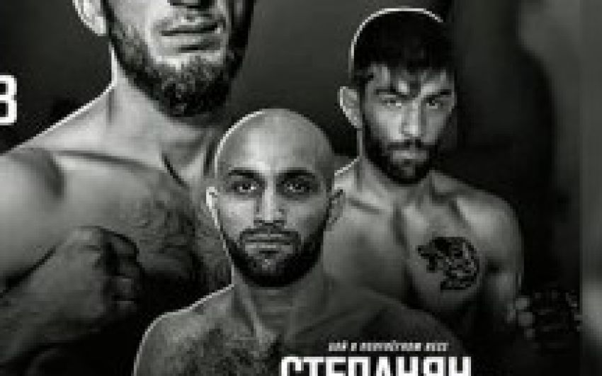 Видео боя Акоп Степанян - Шахин Наджафи GFC 22