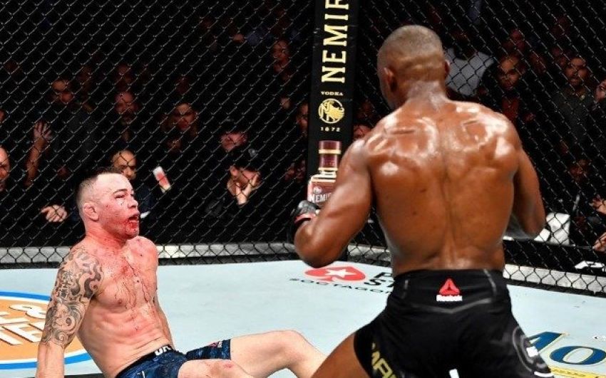 Мэтт Серра недоволен остановкой боя Ковингтон - Усман на UFC 245