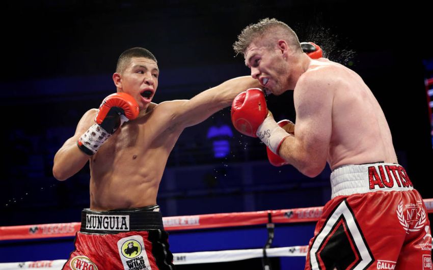 Инсайдер: Хайме Мунгия освободит пояс WBO, Карлос Адамес и Патрик Тешейра сразятся за вакантный титул