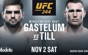 Прогнозы бойцов UFC на поединок Келвина Гастелума и Даррена Тилла