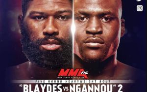 Файткард турнира UFC Fight Night 141: Блэйдс - Нганну