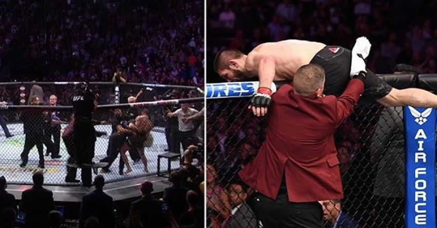 Массовая драка с участием Хабиба Нурмагомедова после победы на UFC 229