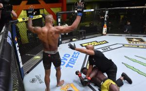 Бонусы турнира UFC Fight Night 182: Рафаэль Дос Аньос – Пол Фелдер