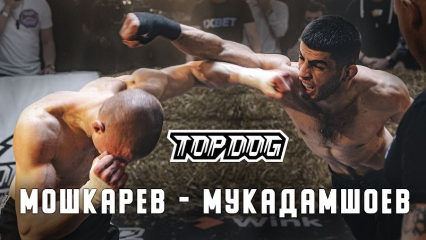 Видео боя Якин "TJ” Мукадамшоев - Иван "Охранник" Мошкарев TDFC 7