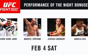 Бонусы UFC Fight Night 104