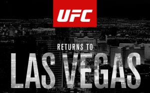 Видео боя Майк Пайл - Алекс Гарсия UFC 207