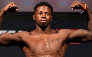 Видео боя Рэндалл Браун - Беллал Мухаммад UFC 208