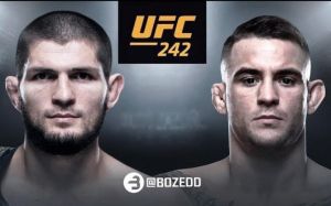 Стала известна цена билетов на турнир UFC 242 в Абу-Даби