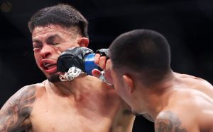 Видео боя Джошуа Ван – Брэндон Ройвал UFC 317