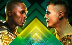 Файткард турнира UFC 263