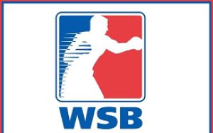Прямая трансляция WSB 8 "Patriot Boxing Team" - "Indian Tigers" 