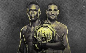 Файткард турнира UFC 293