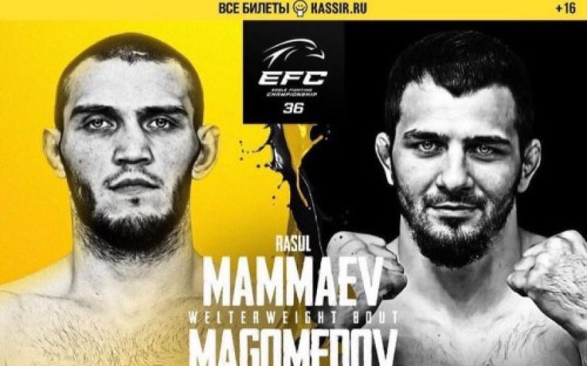 Видео боя Расул Маммаев – Шамидхан Магомедов EFC 36