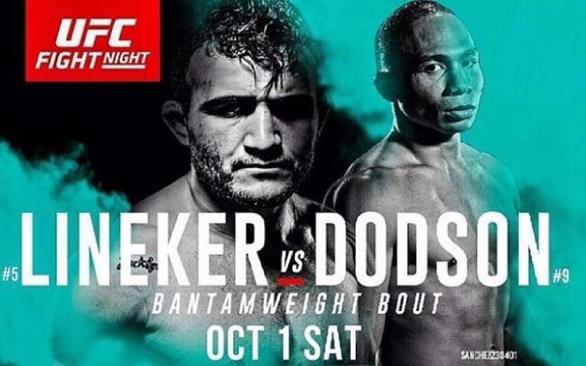Прямая трансляция UFC Fight Night 96: Джон Линекер - Джон Додсон