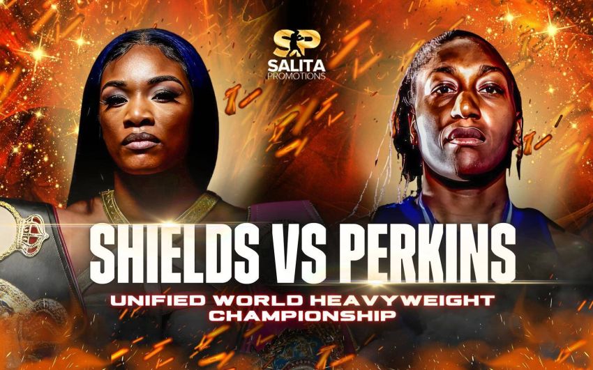 Прямая трансляция Кларисса Шилдс – Дэниель Перкинс