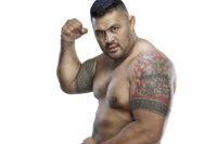 Марк Хант: «Дело не в деньгах – я хочу завоевать чемпионский пояс»