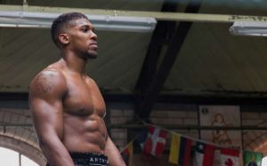 Джошуа: «Я размажу бойцов UFC, если захочу»