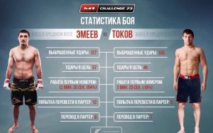 Статистика поединка Рамазан Эмеев - Анатолий Токов M-1 Challenge 73