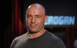 Джо Роган рассказал, как устроился работать в промоушен UFC