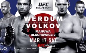 РП ММА №9 UFC Fight Night 127 Вердум VS. Волков