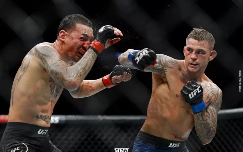Медицинские отстранения после турнира UFC 236