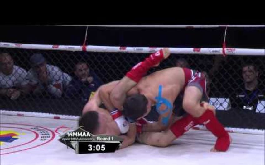 Финальные бои чемпионата мира по ММА СБЕ 2016