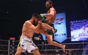 Результаты турнира Bellator vs Rizin