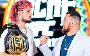 UFC 306. Смотреть онлайн прямой эфир