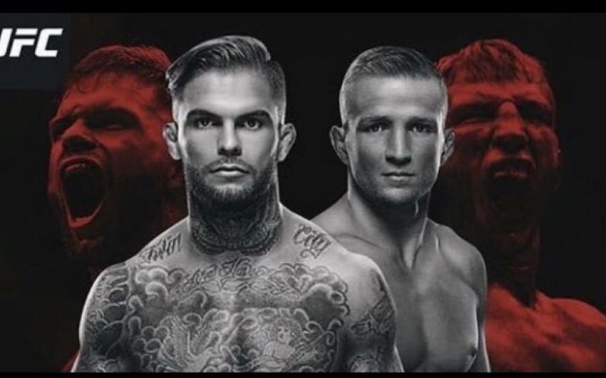 Видео боя Коди Гарбрандт - Ти Джей Диллашоу UFC 217