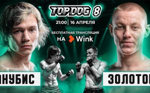Видеосервис Wink впервые покажет в прямом эфире кулачные бои Top Dog FC