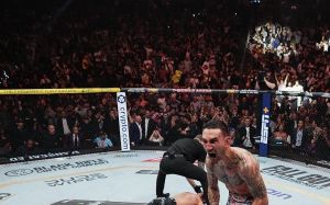 Самые зрелищные нокауты в MMA за 2024 год