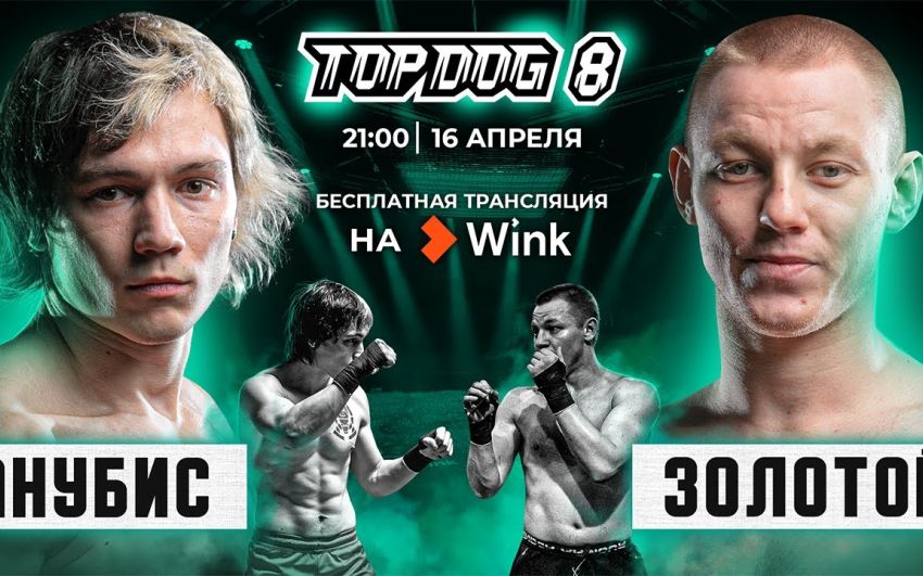 Видеосервис Wink впервые покажет в прямом эфире кулачные бои Top Dog FC